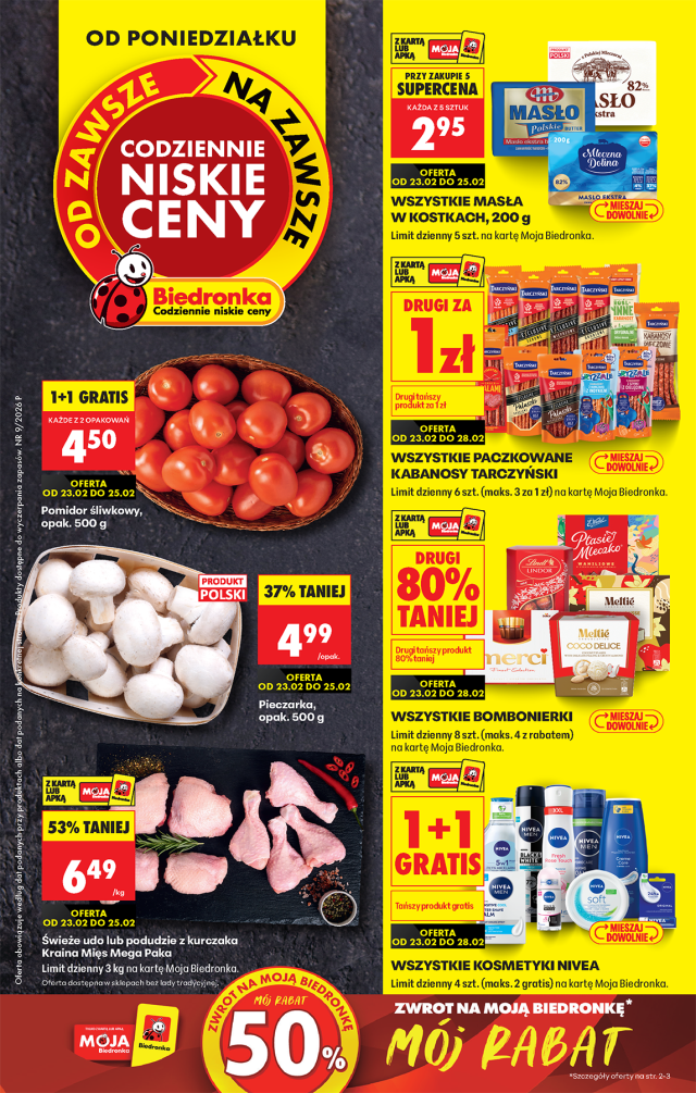 Katalog Biedronka