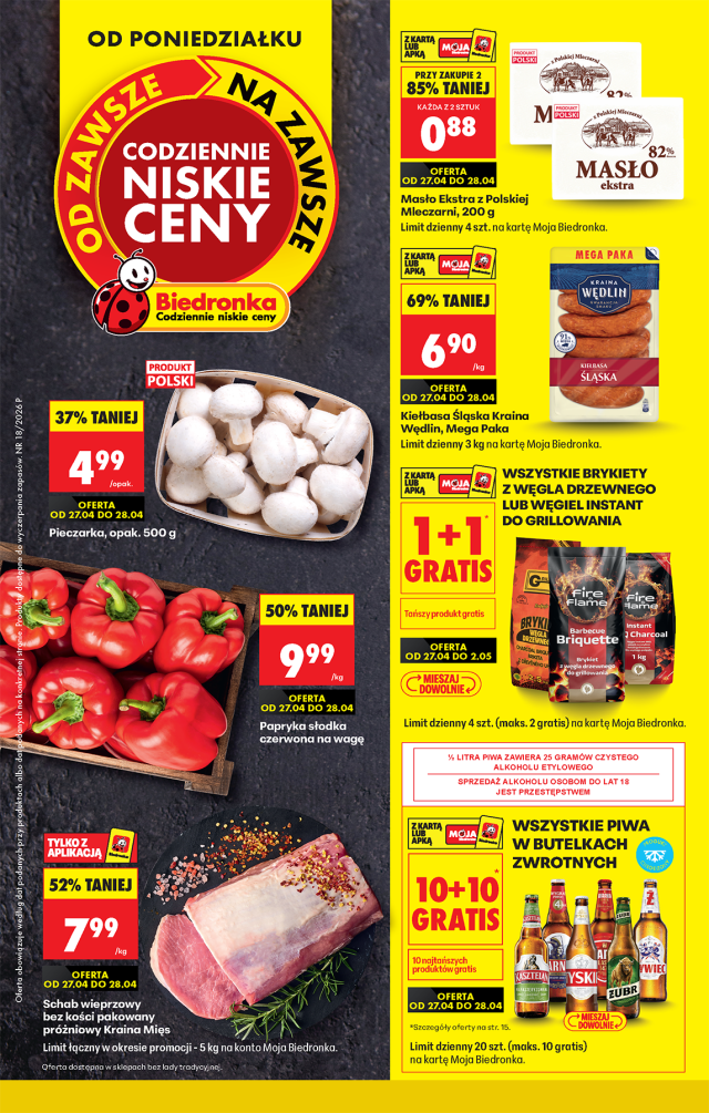 Biedronka katalog