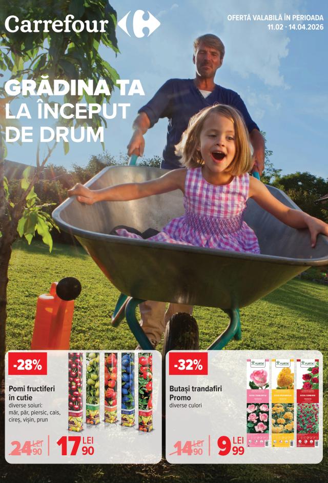 Carrefour Catalog
