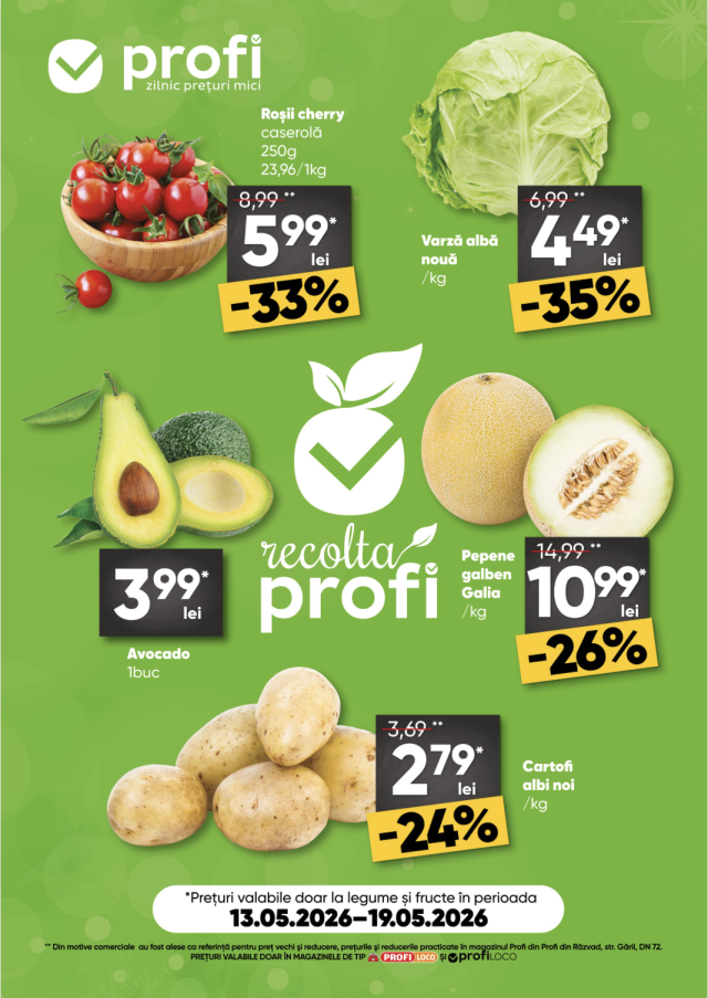 Catalog PROFI